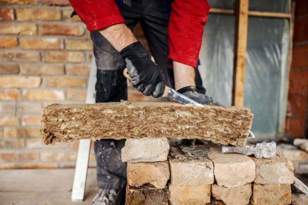 Best Insulation Removal  in Eugene, OR